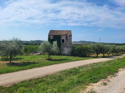 Villa Anita with pool - Environment photo 39