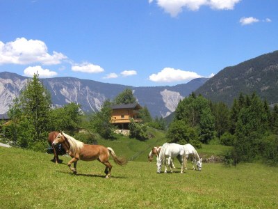 Holiday apartment apatment and chalet - Environment photo 26