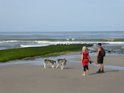 Holiday apartment Petten Beach in Petten aan Zee - Outdoor photo 7