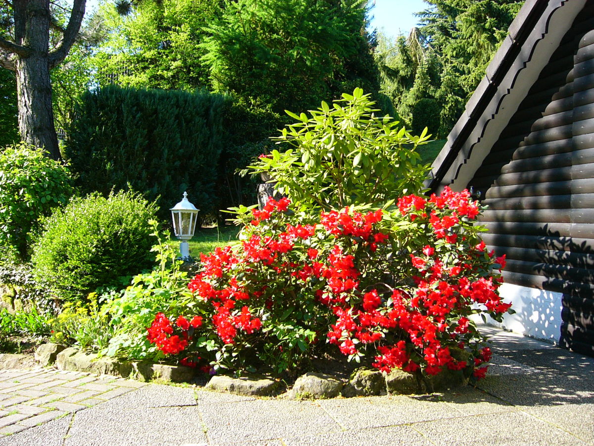 Holiday house Landhouse Kathy - Outdoor photo 5