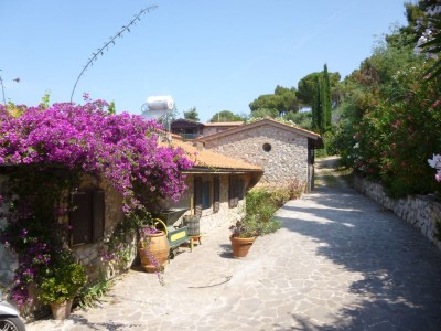 Villa Mimare in Capoliveri - Villa
