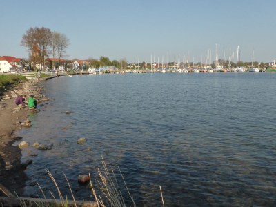 Holiday house Seeschwalbe. - Environment photo 20