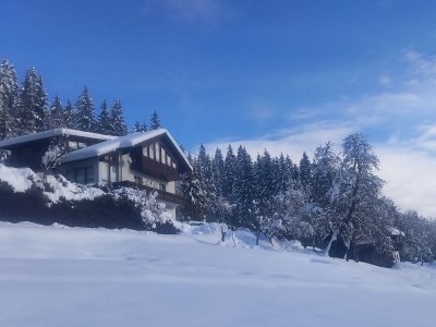 Apartment Waldhof - Outdoor photo 12