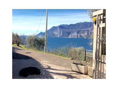 Holiday apartment Villa Gaia MALCESINE - Outdoor photo 14