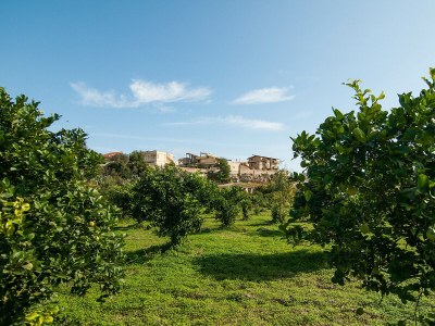 Holiday house Fronte - Outdoor photo 7