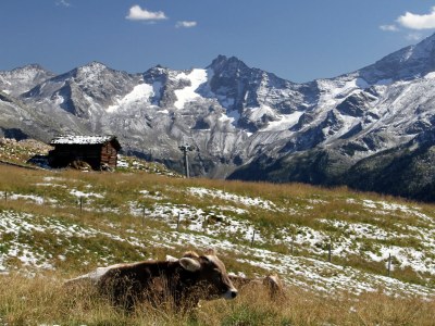 Holiday apartment Apartment Alpin Top 2 - Environment photo 19
