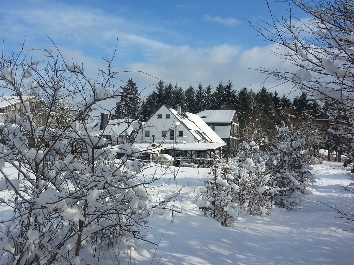 Holiday apartment Tannenhof - Outdoor photo 2