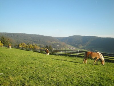 Holiday apartment Haus Sonnschein - Environment photo 21