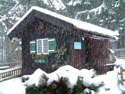 Holiday apartment Flat Ahornblick - Features photo 12