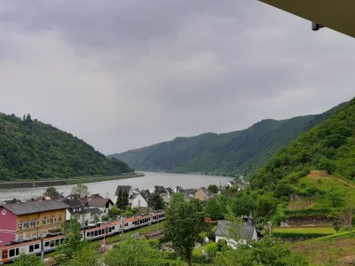 Holiday apartment Rheinblick - Outdoor photo 5