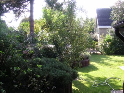Holiday apartment Mosselbank 18 - Outdoor photo 4