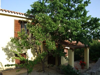 Holiday apartment Casa Felicita - Outdoor photo 11