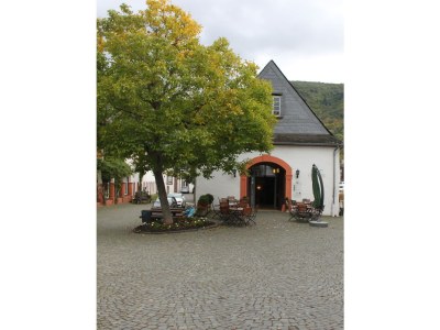 Holiday apartment Ferienwohnung " Mosel & Umzu " - Environment photo 20