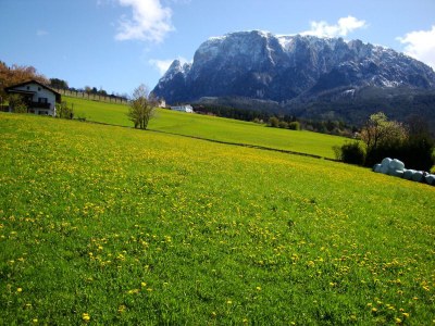 Holiday apartment Platzerhof - Outdoor photo 6