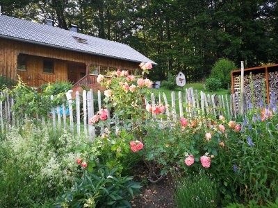 Holiday house Bregenzerwald holiday home - Outdoor photo 6