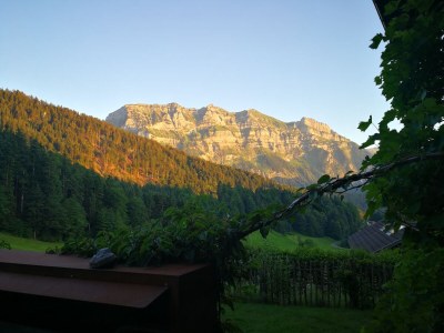 Holiday house Bregenzerwald holiday home - Outdoor photo 9