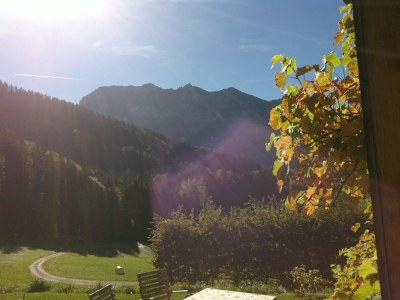 Holiday house Bregenzerwald holiday home - Outdoor photo 17
