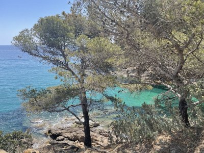 Holiday house Mas du Levant - Outdoor photo 8