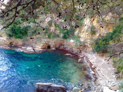Holiday house Mas du Levant - Environment photo 31