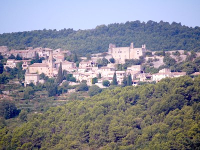 Holiday apartment Le Rossignol - Environment photo 17