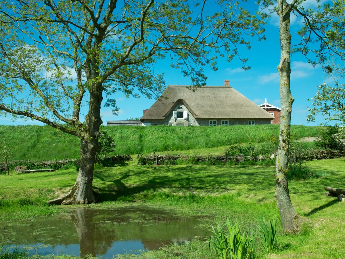 Holiday house Tetenbüllspieker