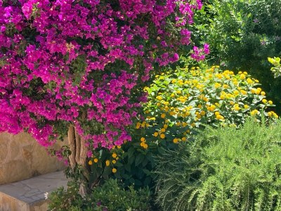 Holiday house Casa Amadeo - Outdoor photo 12