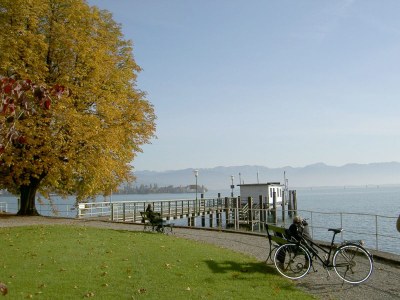 Holiday apartment Holiday Home Dinkelbach object 1 apartment B -Summerfeeling- - Environment photo 22