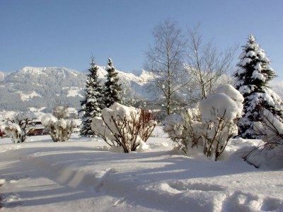 Holiday apartment Nebelhorn im Züchterhof - Outdoor photo 7
