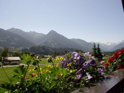 Holiday apartment Bolgen im Züchterhof - Outdoor photo 5