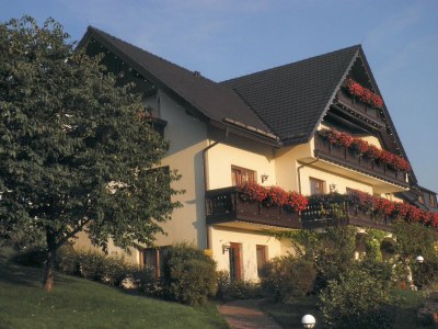 Holiday apartment Pension Bergblick in Marienberg-Ortsteil Pobershau - Holiday apartment