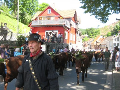 Holiday apartment AltesRathaus Wildemann - Environment photo 18