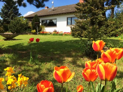 Holiday house Daxweiler in Daxweiler - Holiday house
