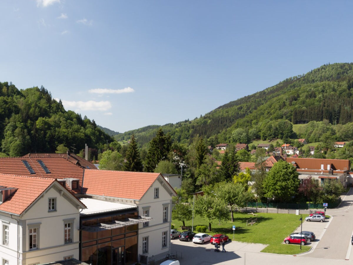 Holiday apartment Dietsche Todtnau - Hasenhornblick - Outdoor photo 4