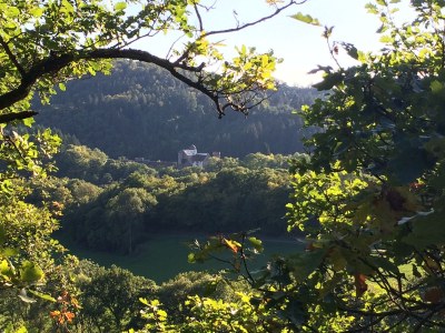Cottage Landhaus Waldrand - Environment photo 20