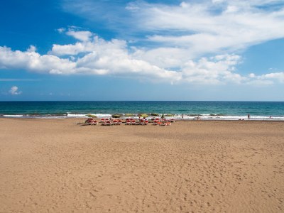 Holiday apartment Luxurious Ocean Front holiday home - Environment photo 20