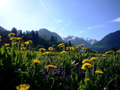Holiday apartment Alpenflair 401 - Environment photo 15