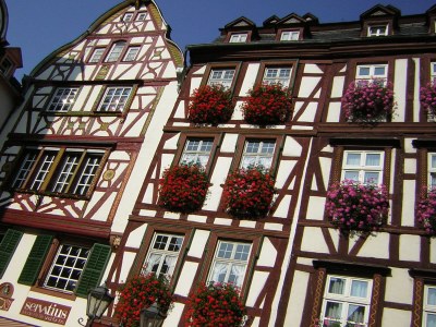 Holiday apartment Mosel River - Environment photo 21