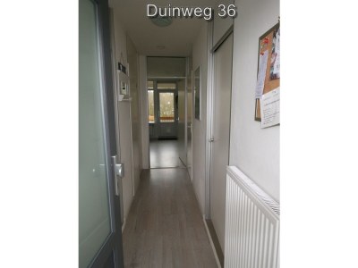 Holiday apartment Zuiderstrand Duinweg 36 in Westkapelle - Holiday apartment