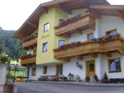 Farmhouse Ranerhof. in Zell am Ziller - Farmhouse