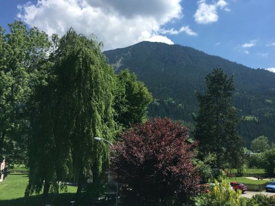 Holiday apartment Hilgarth - Outdoor photo 4