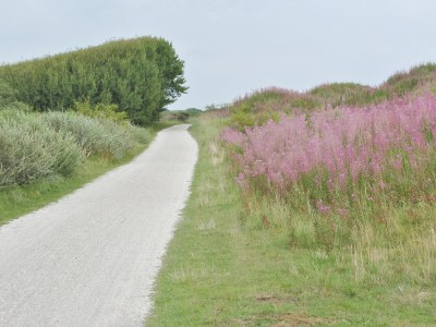 Holiday apartment Amelander Paradijs 19 - Environment photo 20