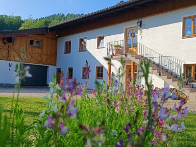Holiday apartment Kastner - Antenbichllehen - Outdoor photo 12