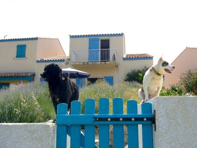 Holiday house mas de perimont - Outdoor photo 6
