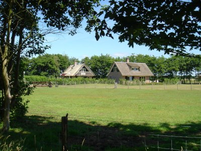 Holiday house Reetdach Eldorado - Outdoor photo 5