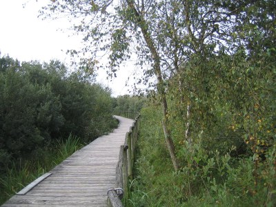 Holiday house De Jonge - Environment photo 18