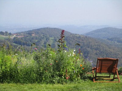 Holiday house Sonnenwaldbungalow 16 - Outdoor photo 3