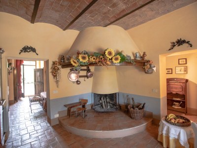 Holiday house Country house with pool for up to 17 people - Features photo 16