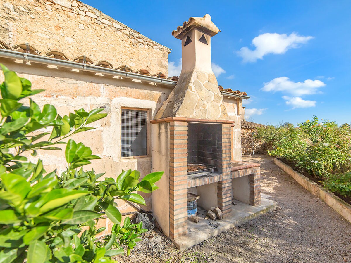 Finca Olivia with pool and Wi-Fi - Outdoor photo 4