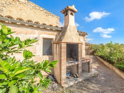 Finca Olivia with pool and Wi-Fi - Outdoor photo 4