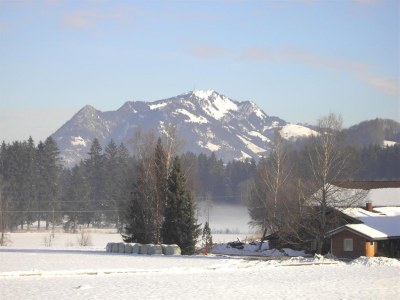 Holiday apartment Ground floor apartment in Dornröschen house (Sleeping Beauty House) - Environment photo 17
